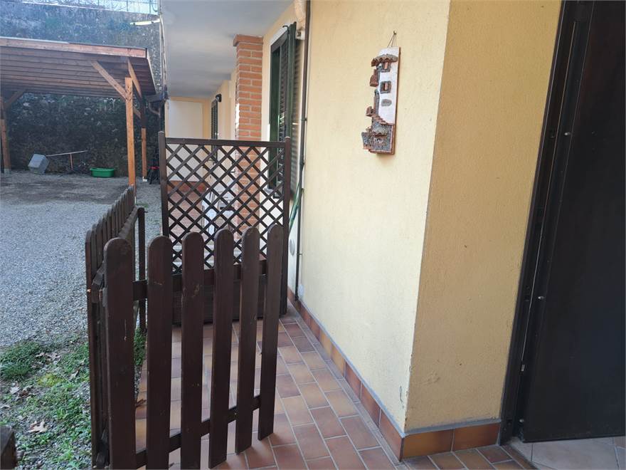 Ingresso