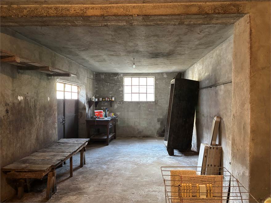 Cantina/Box