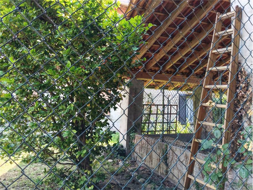 giardino interno